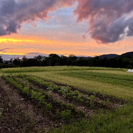 Farm At Lokka Farm 펜션
