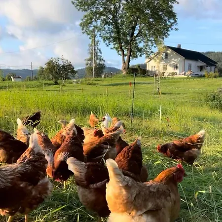 펜션 Farm At Lokka Farm